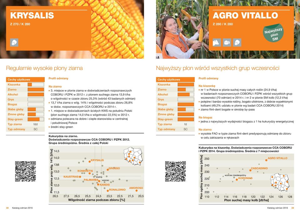 z plonem suchego ziarna 13,9 t/ha o wilgotności w czasie zbioru 25,3% (wśród 43 badanych odmian) 13,7 t/ha ziarna o wilg. 14% i wilgotności podczas zbioru 26,8% w dośw.