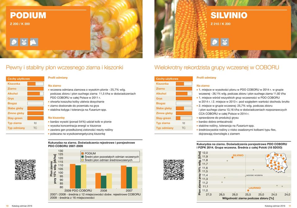 otwarta koszulka kolby ułatwia dosychanie ziarno doskonałe do przemiału na grys stabilna łodyga i tolerancja na Fusarium spp. 1. miejsce w wysokości plonu w PDO COBORU w 2014 r.