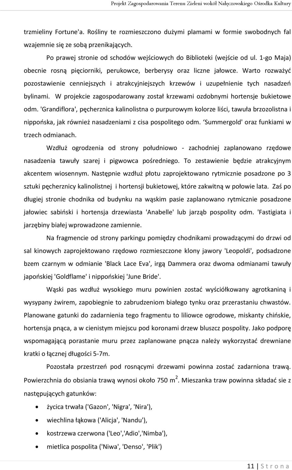 W projekcie zagospodarowany został krzewami ozdobnymi hortensje bukietowe odm.