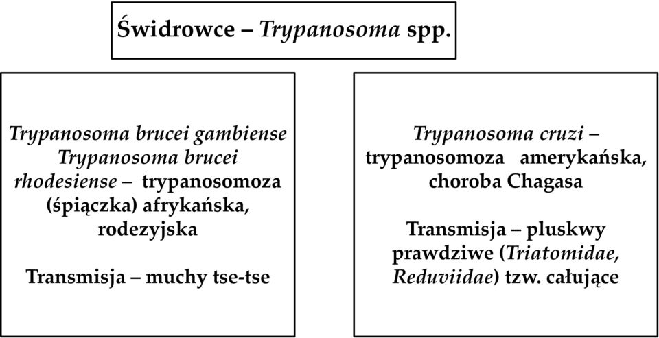 trypanosomoza (śpiączka) afrykańska, rodezyjska Transmisja muchy tse-tse