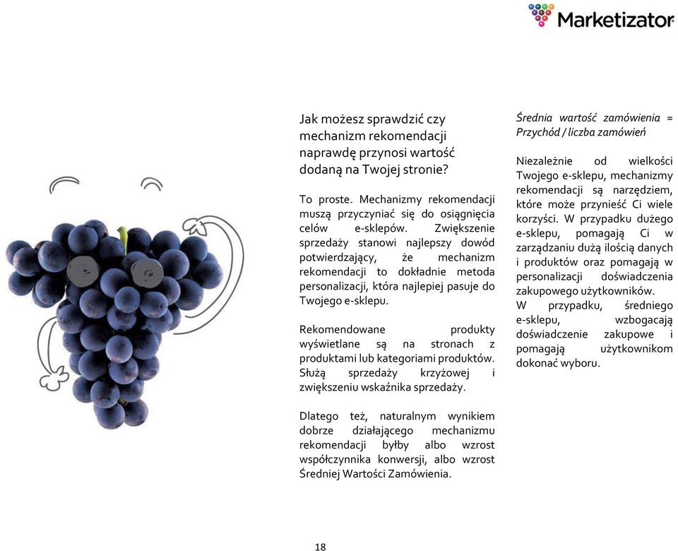 Rekomendowane produkty wyświetlane są na stronach z produktami lub kategoriami produktów. Służą sprzedaży krzyżowej i zwiększeniu wskaźnika sprzedaży.