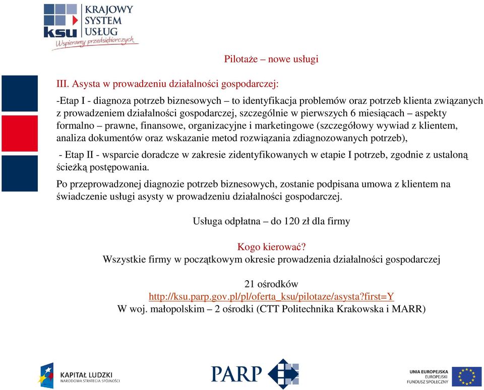 w pierwszych 6 miesiącach aspekty formalno prawne, finansowe, organizacyjne i marketingowe (szczegółowy wywiad z klientem, analiza dokumentów oraz wskazanie metod rozwiązania zdiagnozowanych