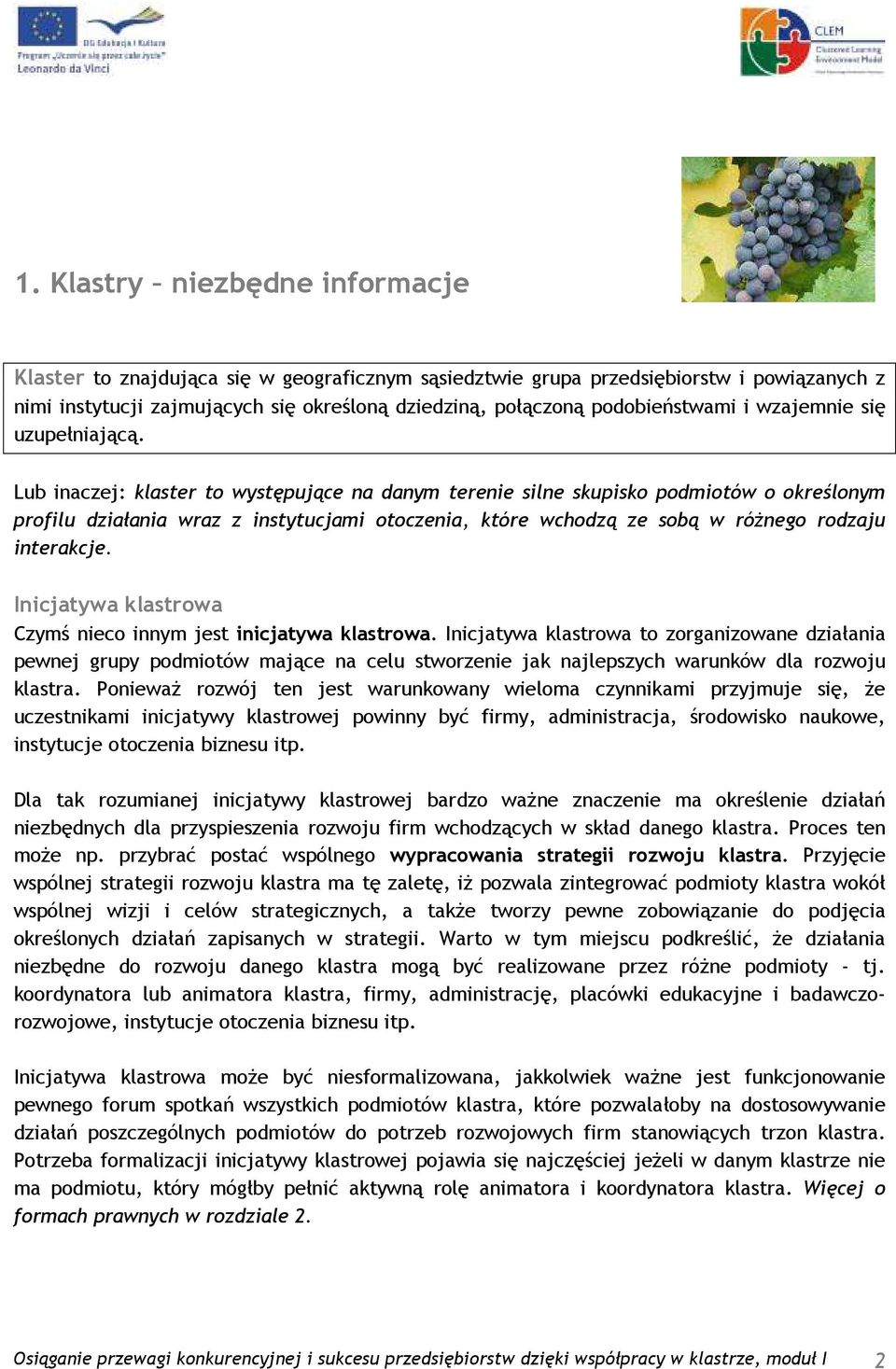 Lub inaczej: klaster to występujące na danym terenie silne skupisko podmiotów o określonym profilu działania wraz z instytucjami otoczenia, które wchodzą ze sobą w róŝnego rodzaju interakcje.