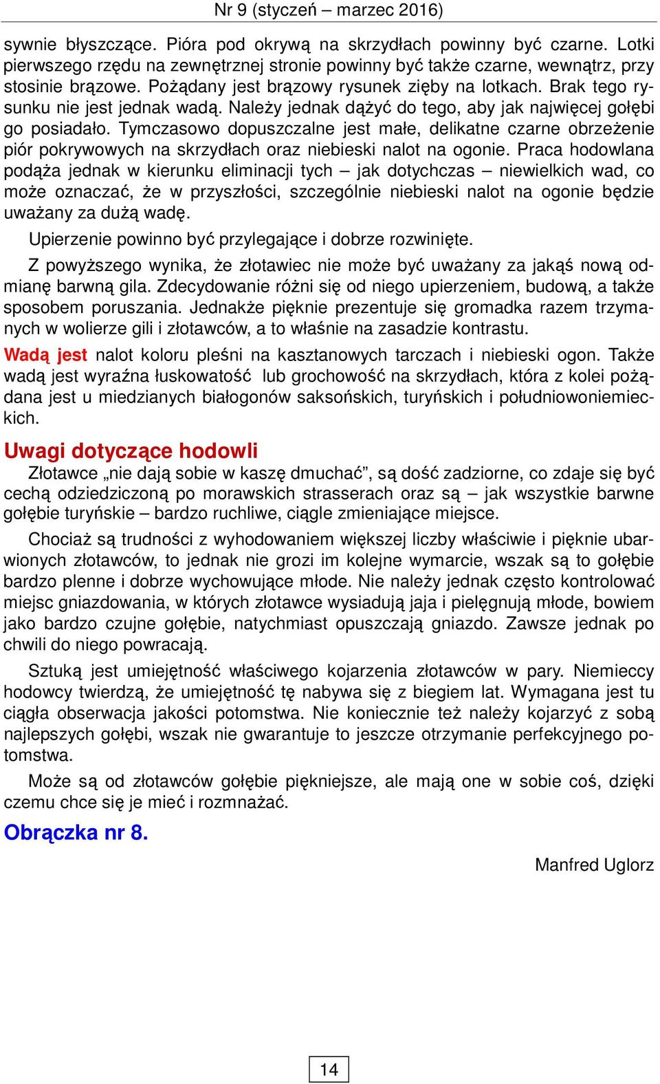 Tymczasowo dopuszczalne jest małe, delikatne czarne obrzeŝenie piór pokrywowych na skrzydłach oraz niebieski nalot na ogonie.