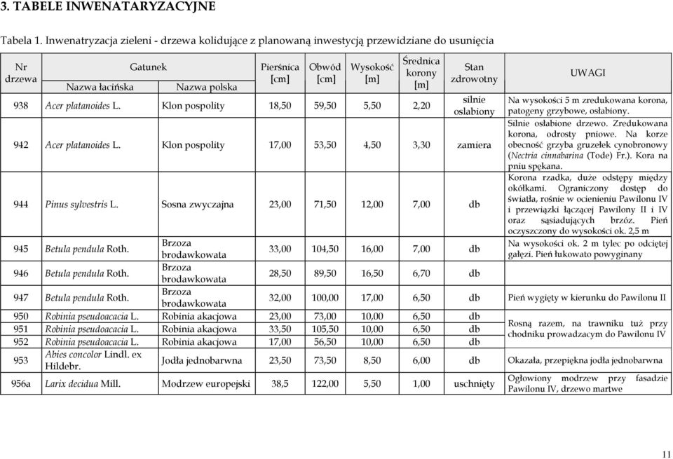 938 Acer platanoides L. Klon pospolity 18,50 59,50 5,50 2,20 Stan zdrowotny silnie oslabiony 942 Acer platanoides L. Klon pospolity 17,00 53,50 4,50 3,30 zamiera 944 Pinus sylvestris L.