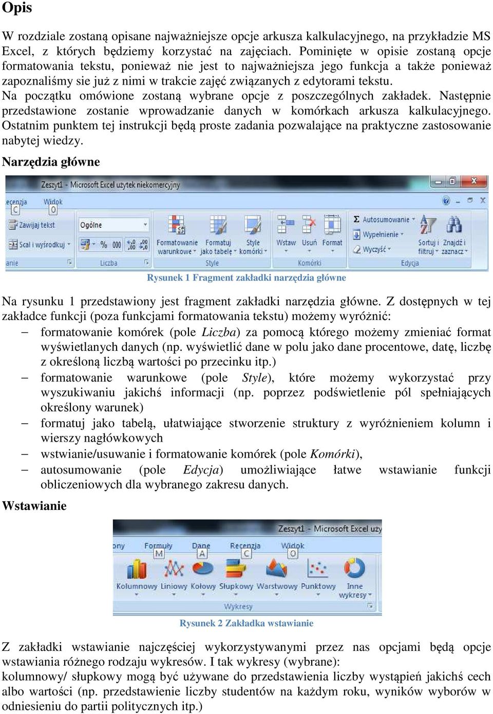 Na początku omówione zostaną wybrane opcje z poszczególnych zakładek. Następnie przedstawione zostanie wprowadzanie danych w komórkach arkusza kalkulacyjnego.
