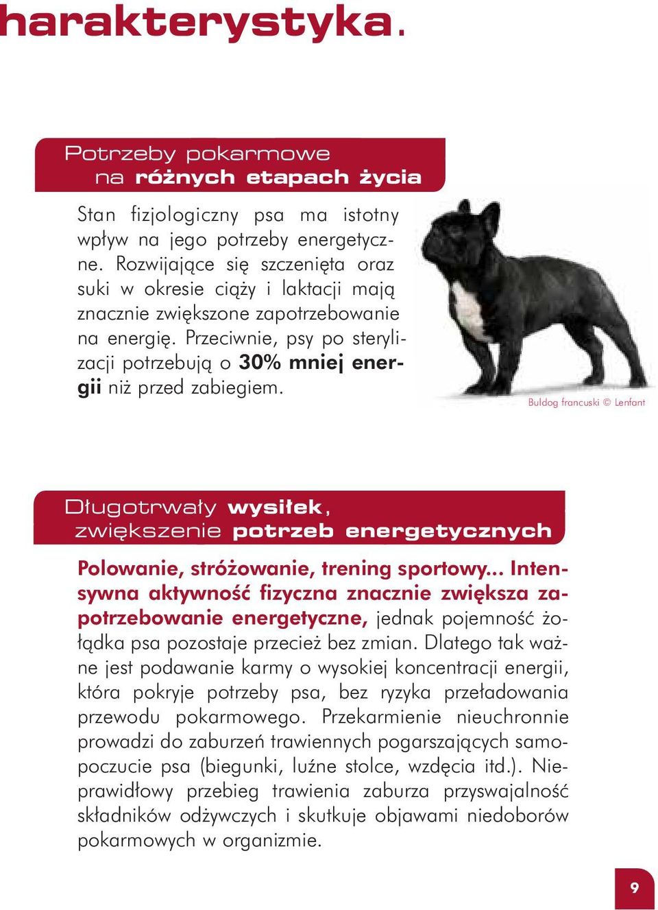 Buldog francuski Lenfant D ugotrwa y wysi ek, zwi kszenie potrzeb energetycznych Polowanie, stró owanie, trening sportowy.