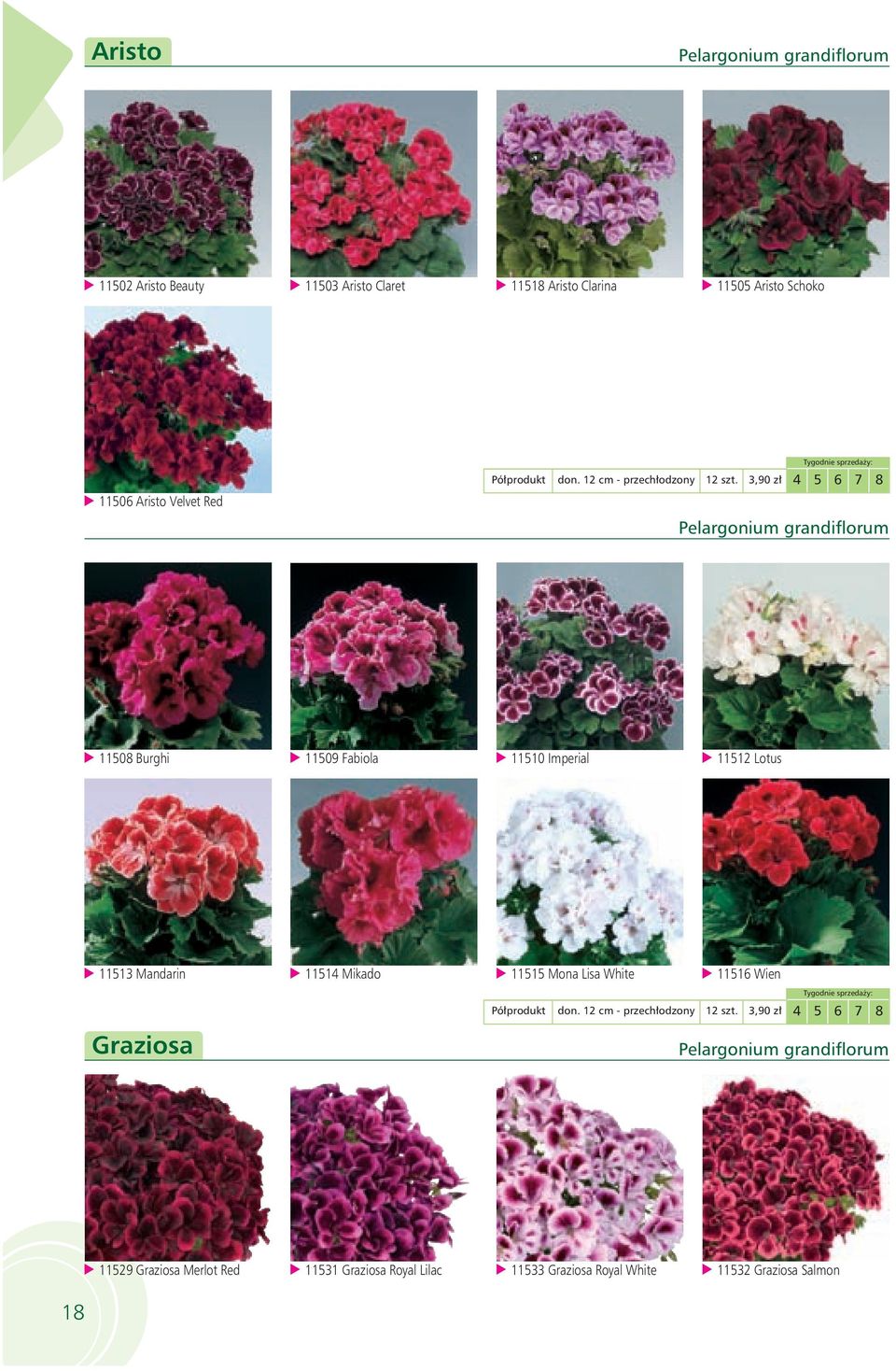 3,90 zł 4 5 6 7 8 Pelargonium grandiflorum 11508 Burghi 11509 Fabiola 11510 Imperial 11512 Lotus 11513 Mandarin 11514 Mikado 11515 Mona