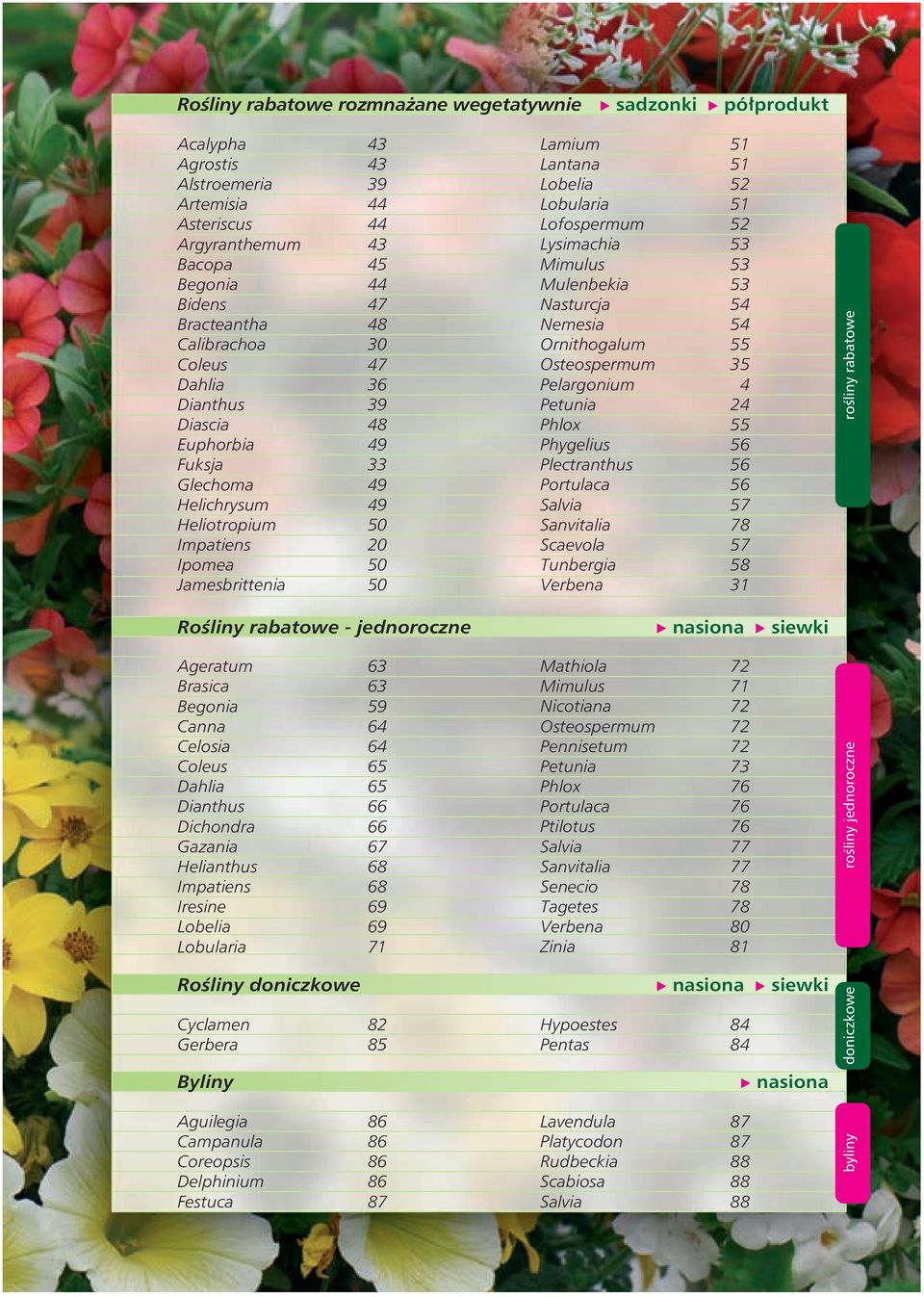 Lobularia 51 Lofospermum 52 Lysimachia 53 Mimulus 53 Mulenbekia 53 Nasturcja 54 Nemesia 54 Ornithogalum 55 Osteospermum 35 Pelargonium 4 Petunia 24 Phlox 55 Phygelius 56 Plectranthus 56 Portulaca 56