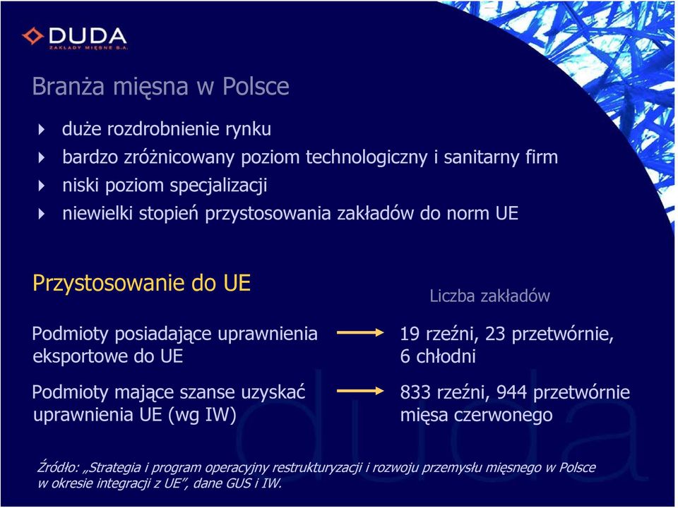 mające szanse uzyskać uprawnienia UE (wg IW) Liczba zakładów 19 rzeźni, 23 przetwórnie, 6 chłodni 833 rzeźni, 944 przetwórnie mięsa