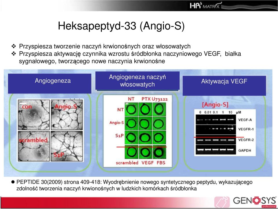 Angiogeneza Angiogeneza naczyń włosowatych Aktywacja VEGF PEPTIDE 30(2009) strona 409-418: Wyodrębnienie