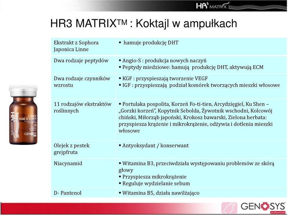 Portulaka pospolita, Korzeń Fo-ti-tien, Arcydzięgiel, Ku Shen Gorzki korzeń, Kopytnik Sebolda,Żywotnik wschodni, Kolcowój chiński, Miłorząb japoński, Krokosz bawarski, Zielona herbata: przyspiesza