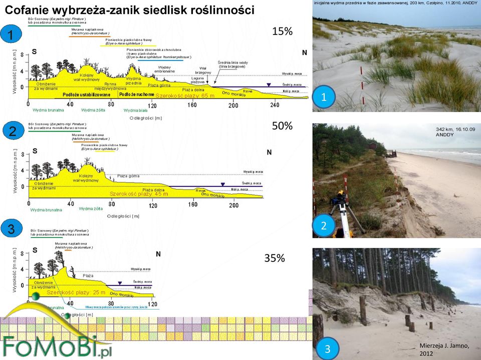 siedlisk roślinności