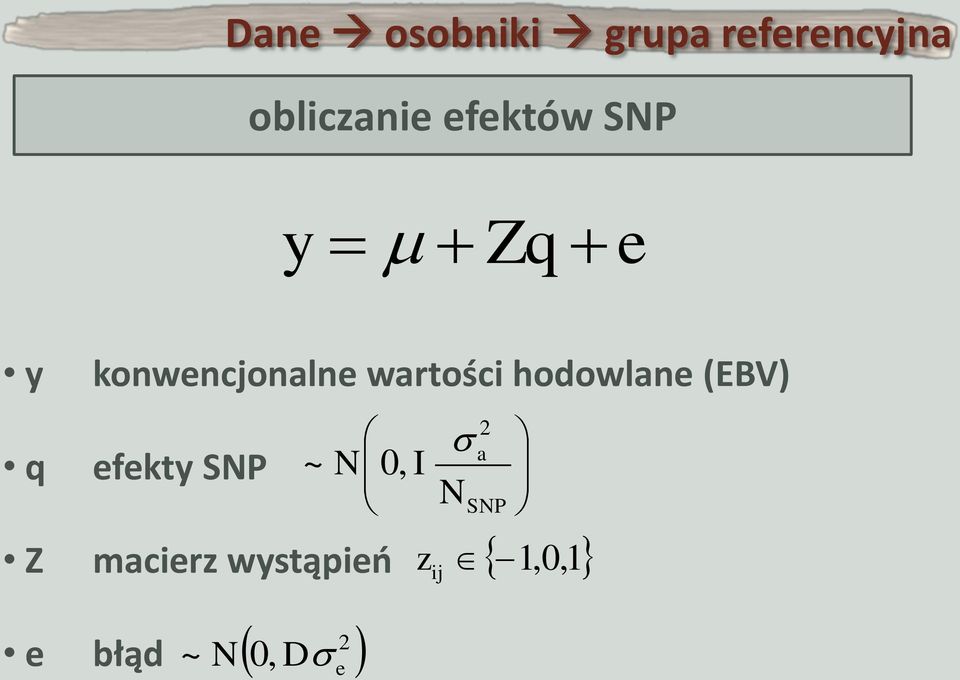 wartości hodowlane (EBV) efekty SNP ~ N 0, I