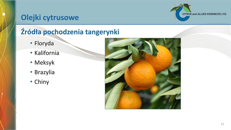 tangerynki Floryda