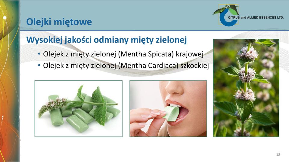 (Mentha Spicata) krajowej Olejek z