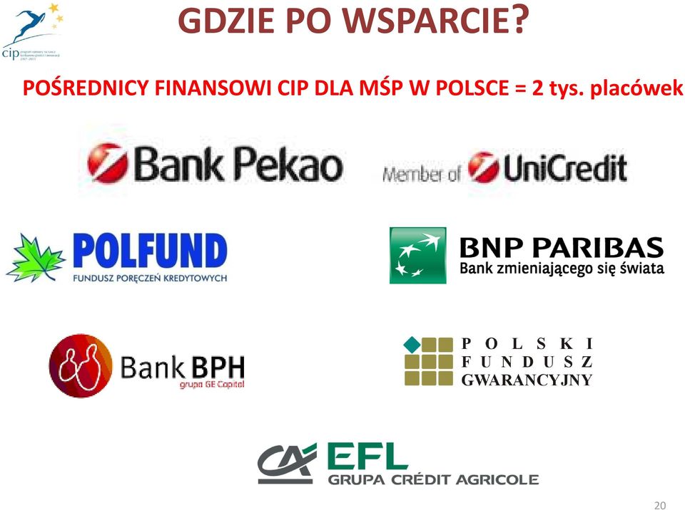 CIP DLA MŚP W POLSCE