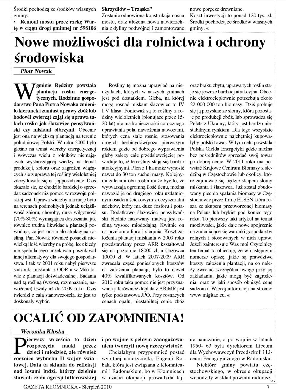 Rodzinne gospodarstwo Pana Piotra Nowaka zmieniło kierunek i zamiast uprawy zbóż lub hodowli zwierząt zajął się uprawa takich roślin jak ślazowiec pensylwański czy miskant olbrzymi.