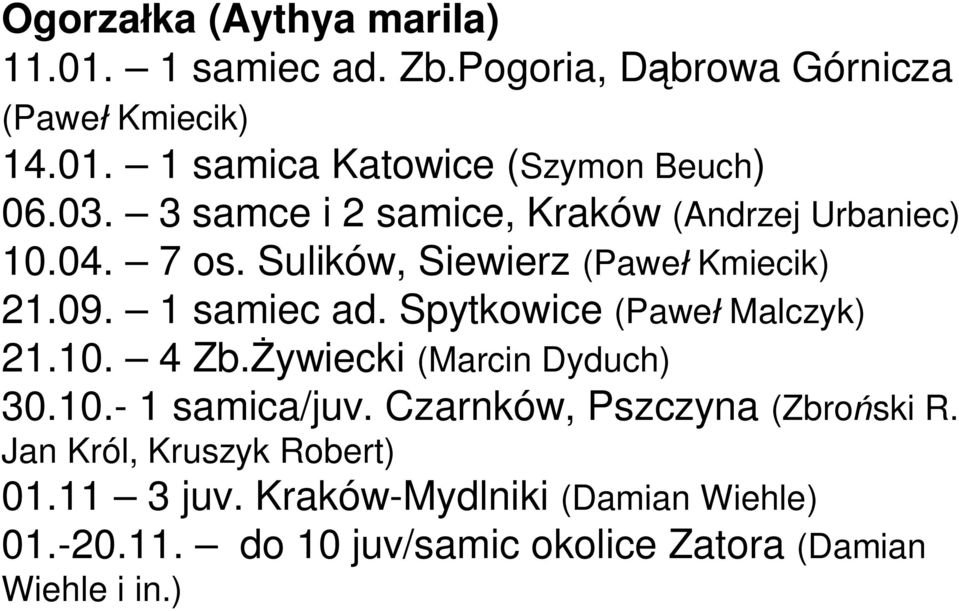 Spytkowice (Pawe Malczyk) 21.10. 4 Zb. ywiecki (Marcin Dyduch) 30.10.- 1 samica/juv. Czarnków, Pszczyna (Zbro ski R.