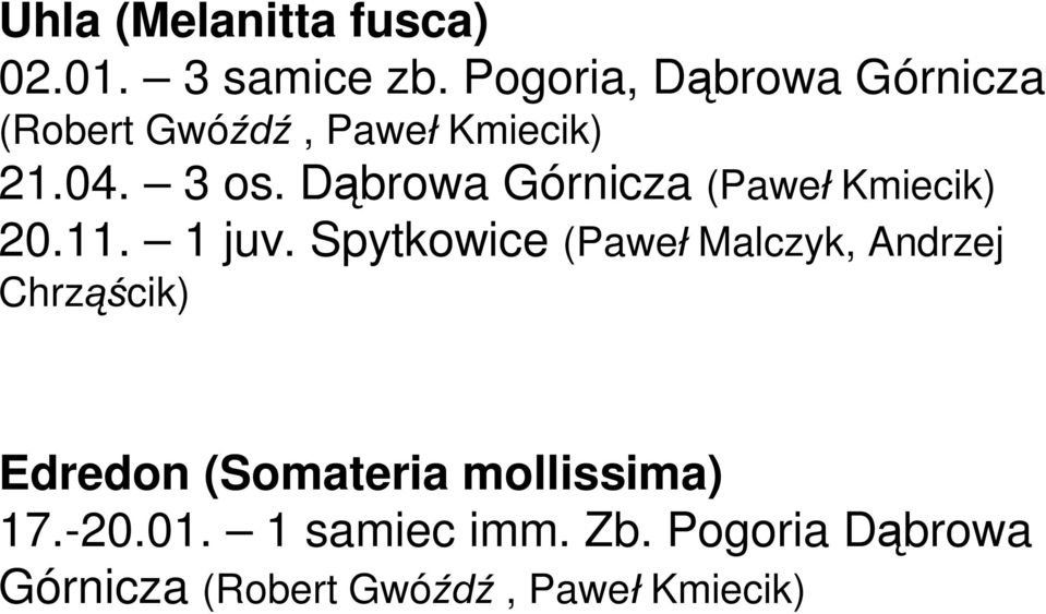 D browa Górnicza (Pawe Kmiecik) 20.11. 1 juv.