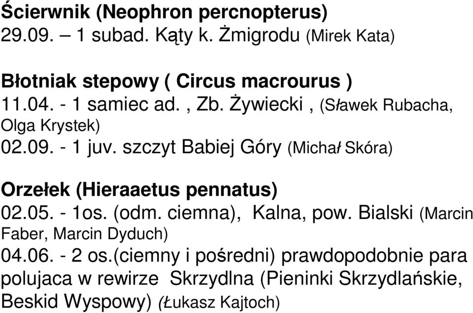 szczyt Babiej Góry (Micha Skóra) Orze ek (Hieraaetus pennatus) 02.05. - 1os. (odm. ciemna), Kalna, pow.