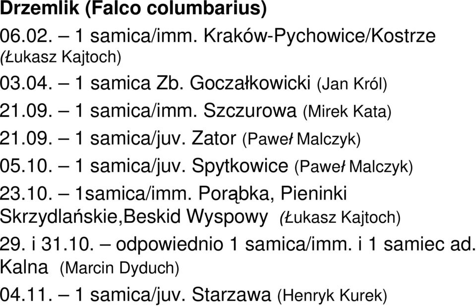 1 samica/juv. Spytkowice (Pawe Malczyk) 23.10. 1samica/imm.