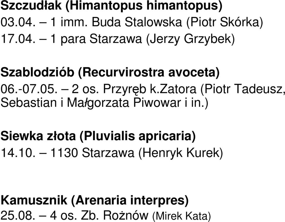 1 para Starzawa (Jerzy Grzybek) Szablodziób (Recurvirostra avoceta) 06.-07.05. 2 os. Przyr b k.