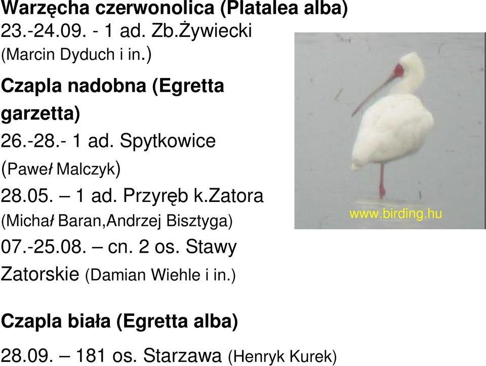 zatora (Micha Baran,Andrzej Bisztyga) 07.-25.08. cn. 2 os. Stawy www.birding.