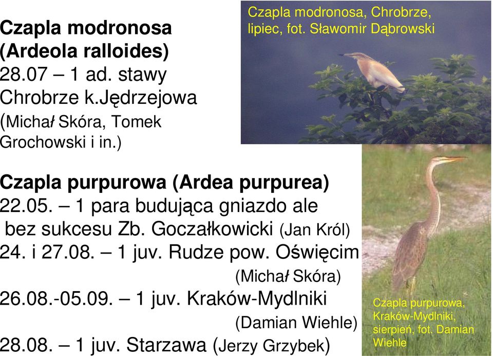1 para buduj ca gniazdo ale bez sukcesu Zb. Gocza kowicki (Jan Król) 24. i 27.08. 1 juv. Rudze pow.