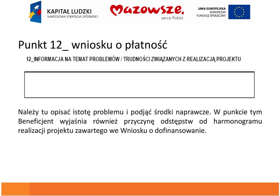 W punkcie tym Beneficjent wyjaśnia również przyczynę