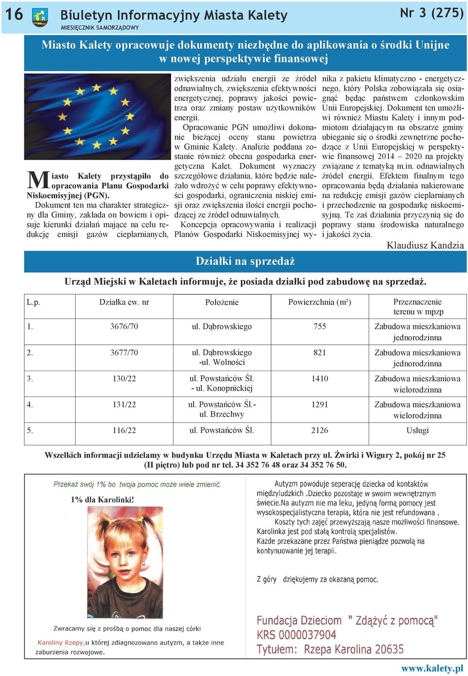 Dokument ten ma charakter strategiczny dla Gminy, zakłada on bowiem i opisuje kierunki działań mające na celu redukcję emisji gazów cieplarnianych, zwiększenia udziału energii ze źródeł odnawialnych,