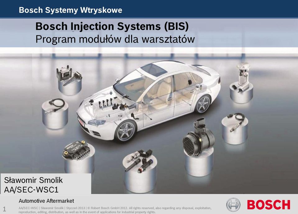 (BIS) Program modułów dla