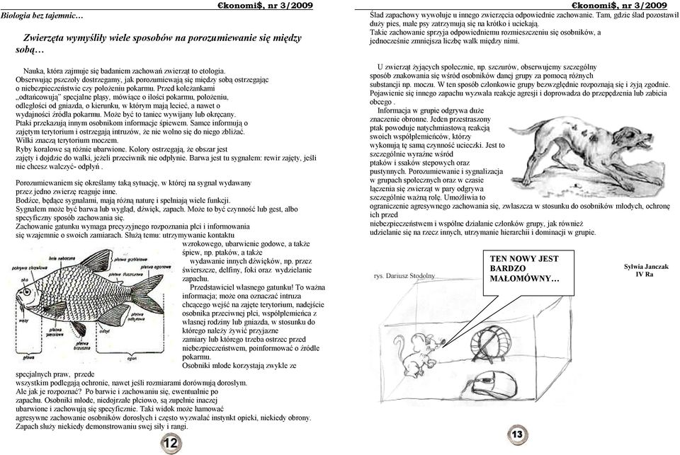 Przed koleżankami odtańcowują specjalne pląsy, mówiące o ilości pokarmu, położeniu, odległości od gniazda, o kierunku, w którym mają lecieć, a nawet o wydajności źródła pokarmu.