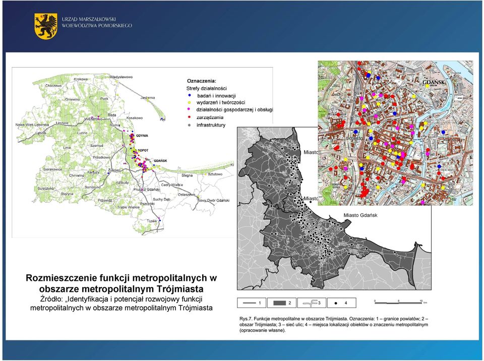 Identyfikacja i potencjał rozwojowy funkcji