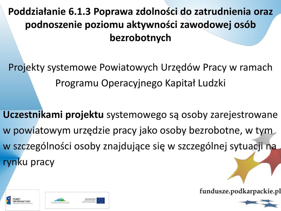 Projekty systemowe Powiatowych Urzędów Pracy w ramach Programu Operacyjnego Kapitał Ludzki