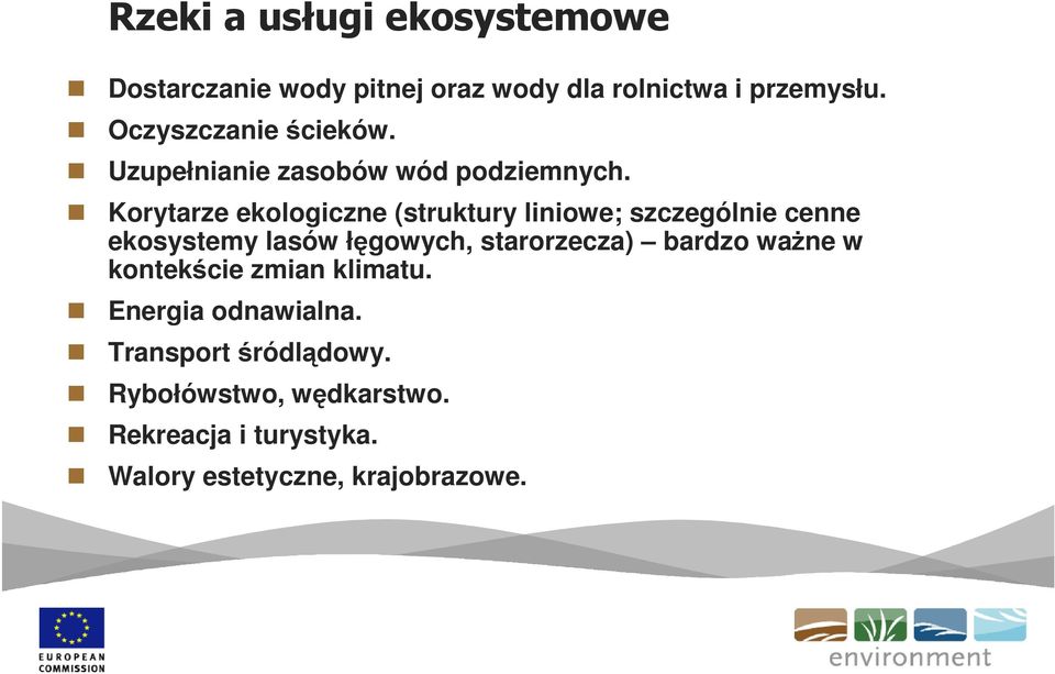 Korytarze ekologiczne (struktury liniowe; szczególnie cenne ekosystemy lasów łęgowych, starorzecza)