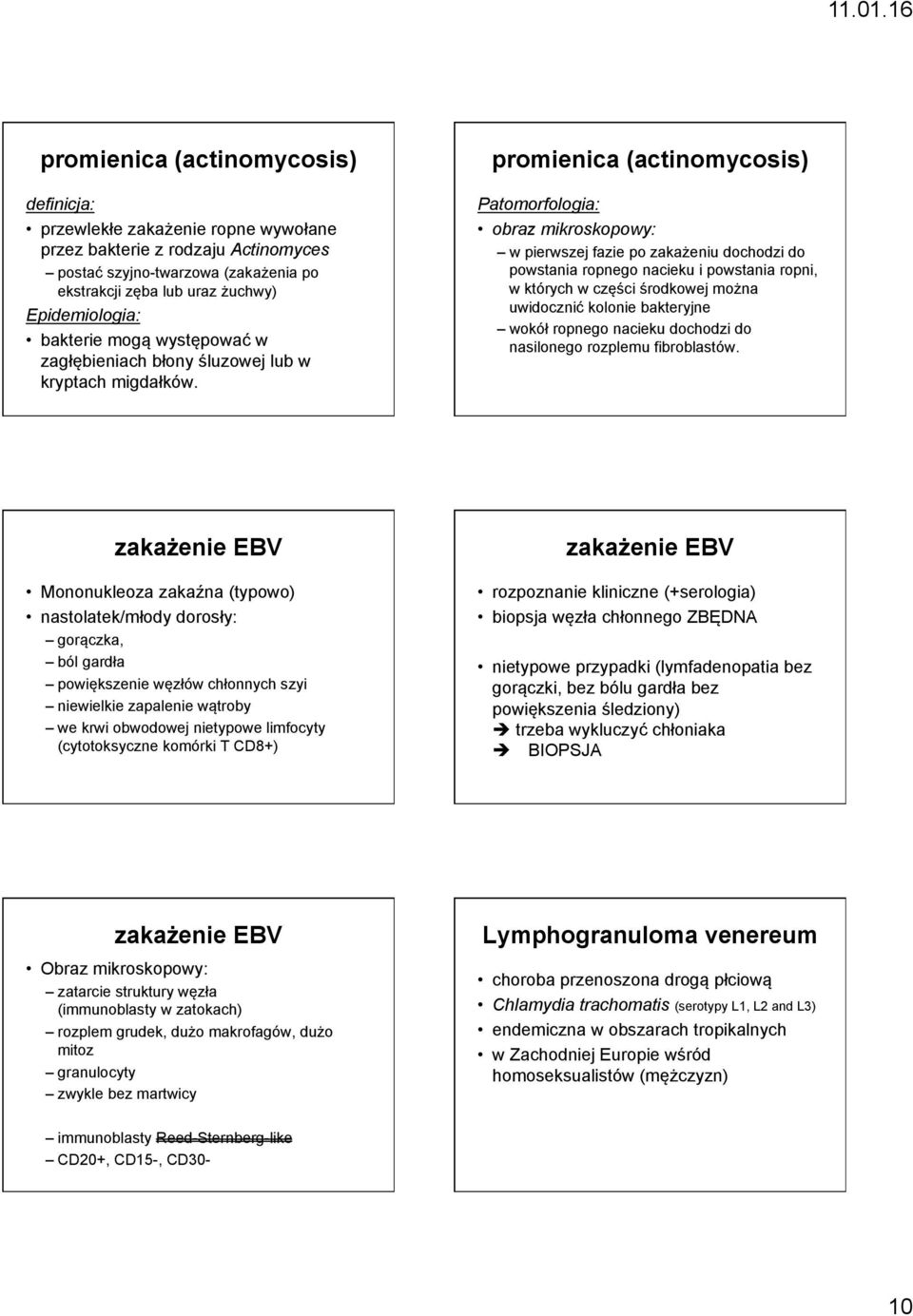 promienica (actinomycosis) Patomorfologia: obraz mikroskopowy: w pierwszej fazie po zakażeniu dochodzi do powstania ropnego nacieku i powstania ropni, w których w części środkowej można uwidocznić