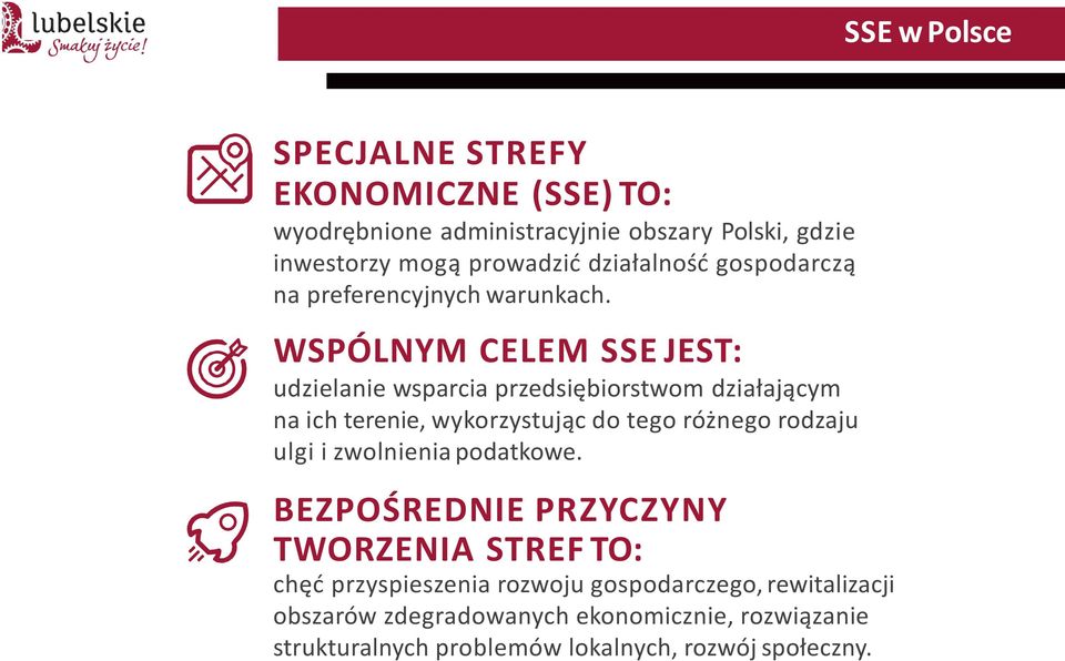 WSPÓLNYM CELEM SSE JEST: udzielanie wsparcia przedsię iorstwo działają y na ich terenie, wykorzystują do tego róż ego rodzaju ulgi i