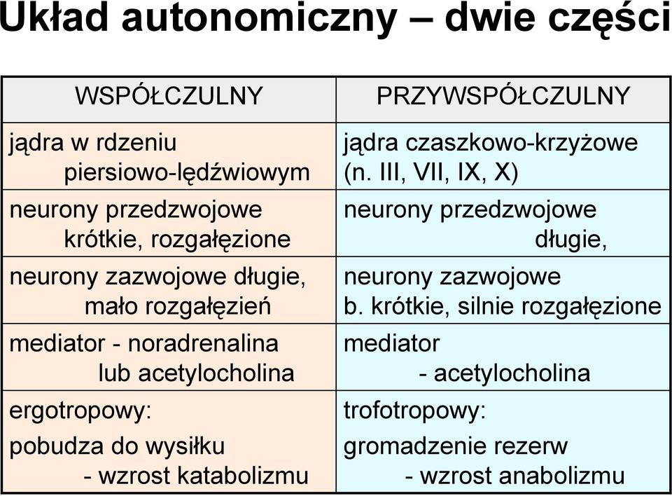 do wysiłku - wzrost katabolizmu PRZYWSPÓŁCZULNY jądra czaszkowo-krzyżowe (n.