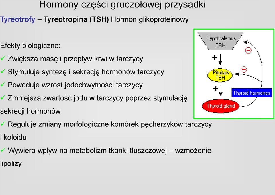 jodochwytności tarczycy Zmniejsza zwartość jodu w tarczycy poprzez stymulację sekrecji hormonów Reguluje