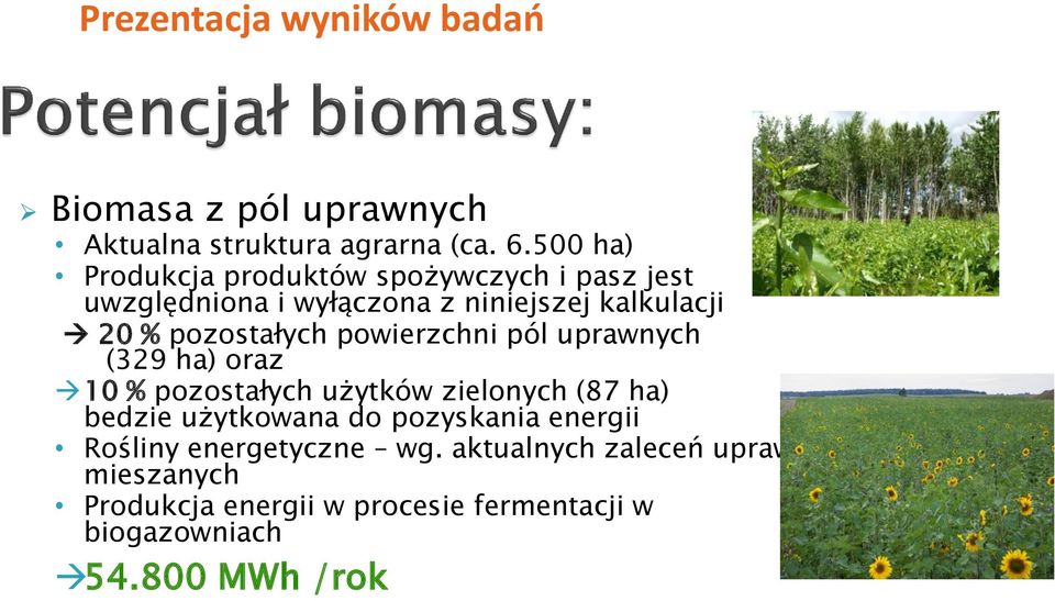 pozostałych powierzchni pól uprawnych (329 ha) oraz 10 % pozostałych użytków zielonych (87 ha) bedzie