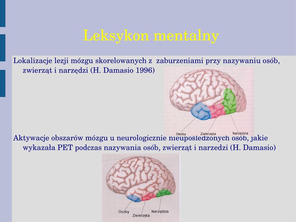 Damasio 1996) Aktywacje obszarów mózgu u neurologicznie