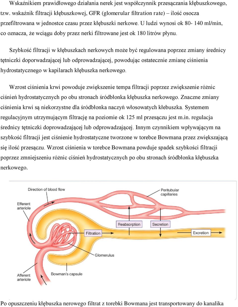 U ludzi wynosi ok 80-140 ml/min, co oznacza, że wciągu doby przez nerki filtrowane jest ok 180 litrów płynu.