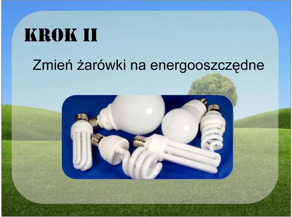 żarówki