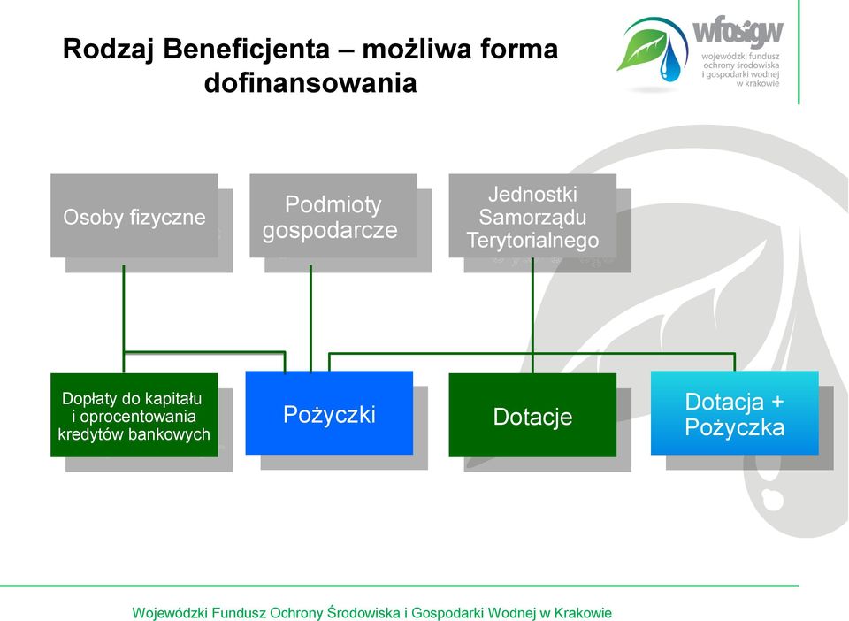 Terytorialnego Dopłaty do kapitału i Dopłaty oprocentowania do kapitału kredytów i