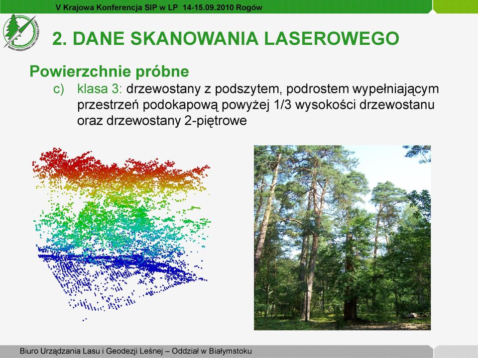 podrostem wypełniającym przestrzeń podokapową