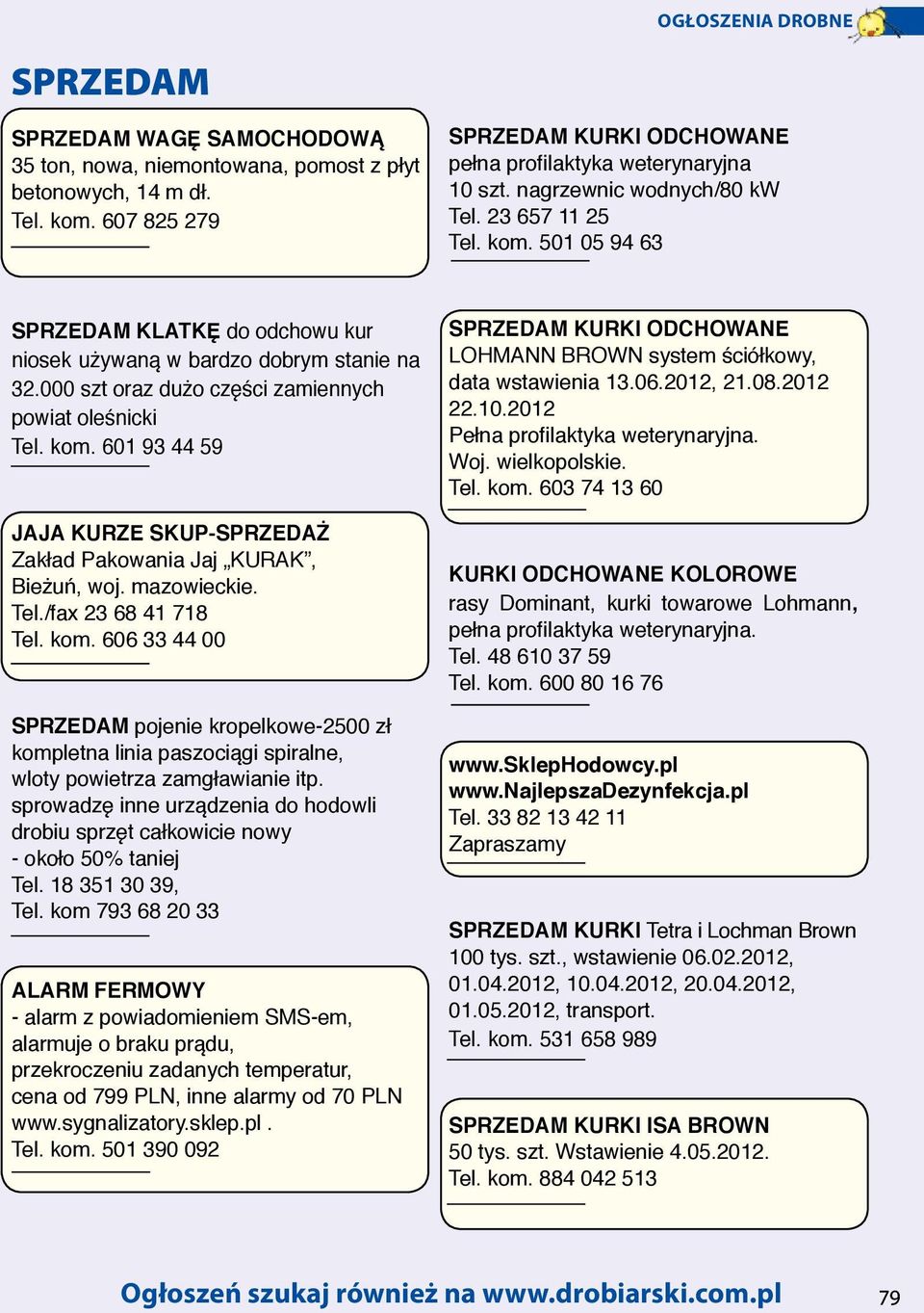 kom. 601 93 44 59 JAJA KURZE SKUP-SPRZEDAŻ Zakład Pakowania Jaj KURAK, Bieżuń, woj. mazowieckie. Tel./fax 23 68 41 718 Tel. kom.