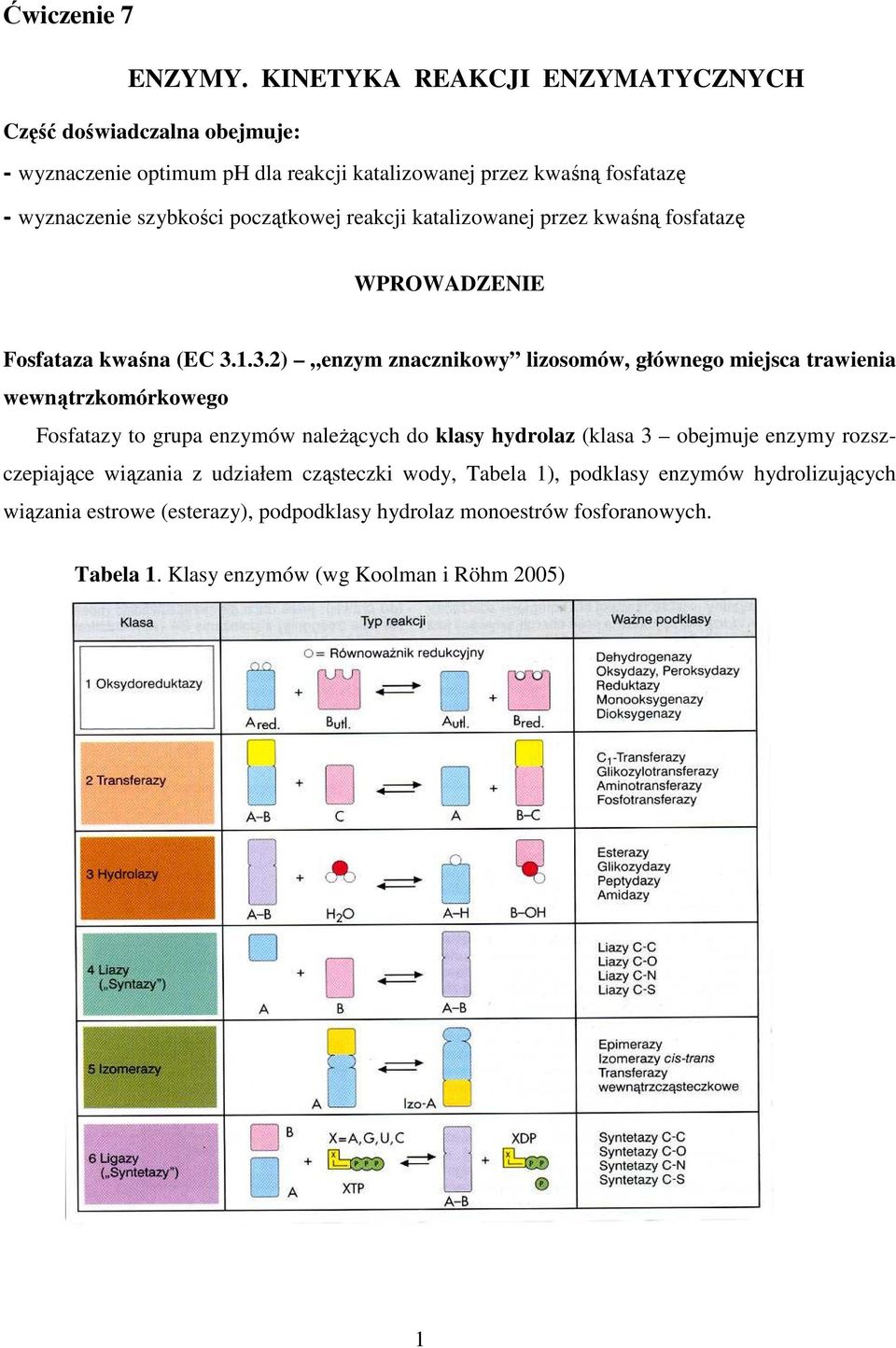 początkowej reakcji katalizowanej przez kwaśną fosfatazę WPROWADZENIE Fosfataza kwaśna (EC 3.