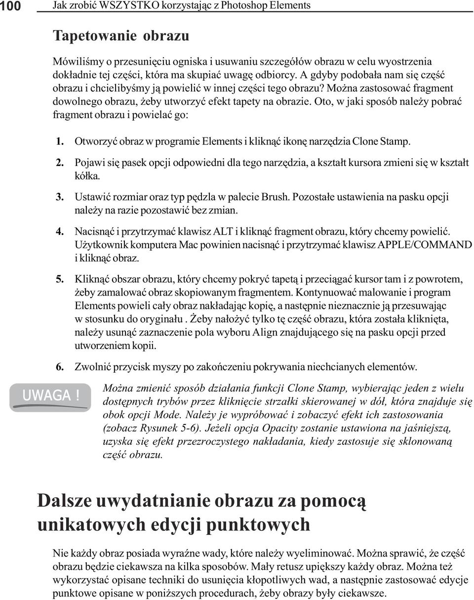 Oto, w jaki sposób nale y pobraæ fragment obrazu i powielaæ go: 1. Otworzyæ obraz w programie Elements i klikn¹æ ikonê narzêdzia Clone Stamp. 2.