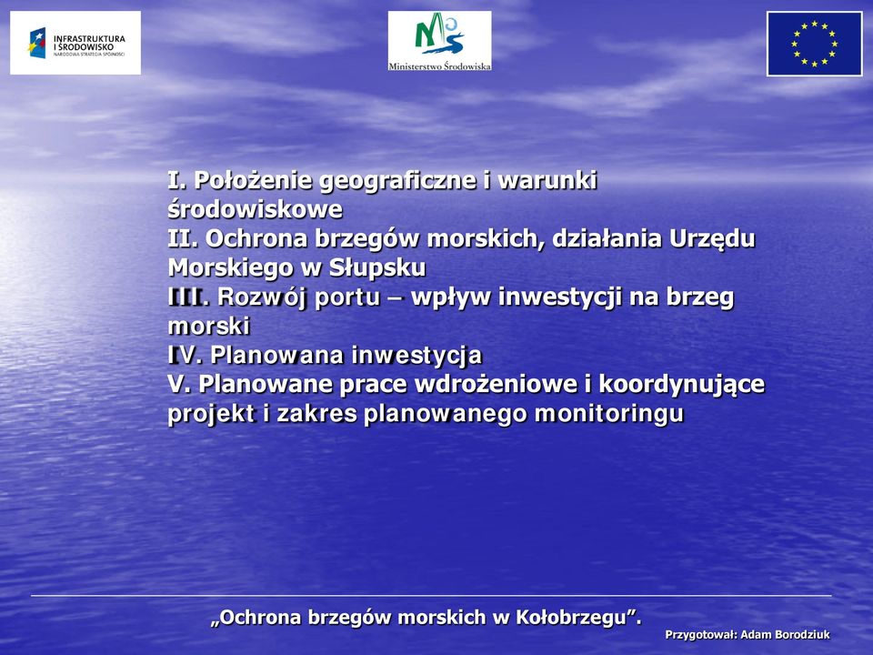 Rozwój portu wpływ inwestycji na brzeg morski IV. Planowana inwestycja V.